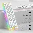Womier K66 Mechanical Keyboard